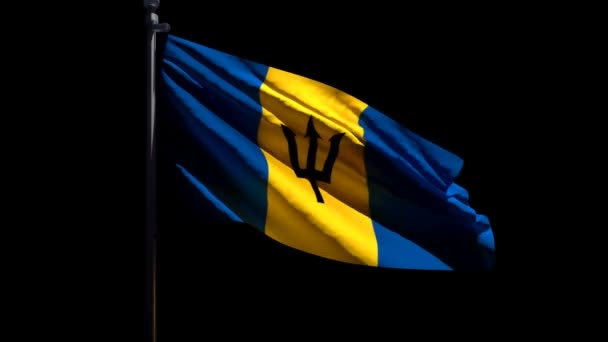 A bandeira nacional de Barbados está voando no vento contra um fundo preto — Vídeo de Stock