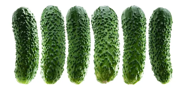 Green cucumbers levitate on a white background — Stock Photo, Image