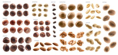 Large collection of different nuts on a white background clipart