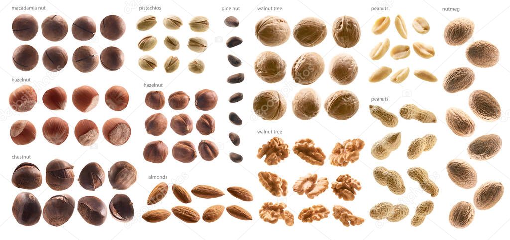 Large collection of different nuts on a white background