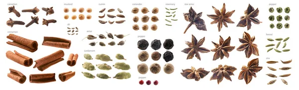 Large collection of seasonings and spices on a white background — Stock Photo, Image