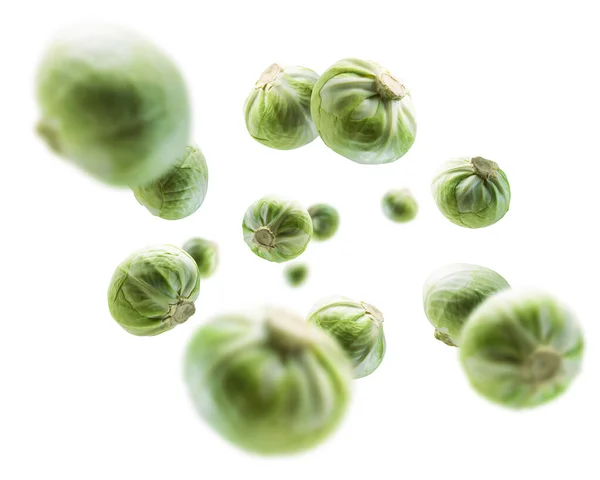 Green cabbage levitates on a white background — Stock Photo, Image