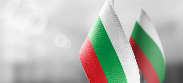 Pequeñas banderas nacionales de Bulgaria sobre un fondo claro y borroso — Foto de Stock