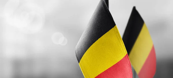 Pequeñas banderas nacionales de Bélgica sobre un fondo claro y borroso — Foto de Stock