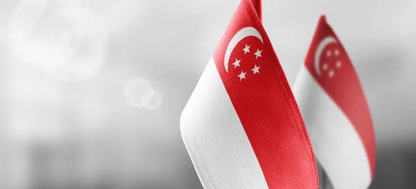 Pequenas bandeiras nacionais da Singapura em um fundo claro e embaçado — Fotografia de Stock