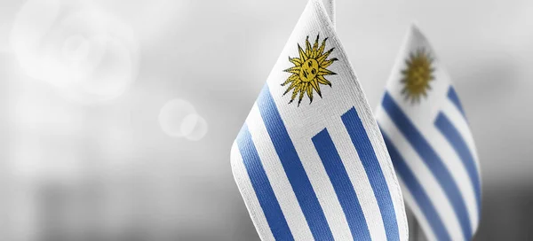 Small national flags of the Uruguay on a light blurry background — Stock Photo, Image