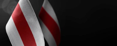 Beyaz Rusya 'nın küçük ulusal bayrakları koyu bir arkaplanda