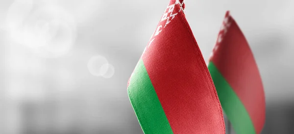 Pequeñas banderas nacionales de Bielorrusia sobre un fondo claro y borroso — Foto de Stock