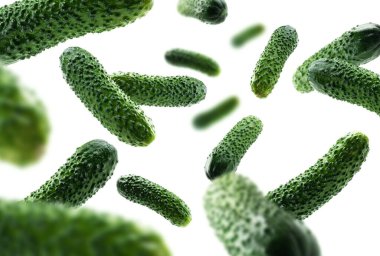 Beyaz arka planda yeşil salatalıklar uçar.