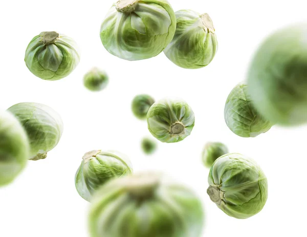 Green cabbage levitates on a white background — Stock Photo, Image