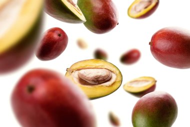 Mango bir bütün ve beyaz bir arkaplan üzerinde havalanır