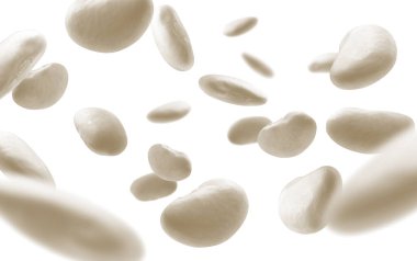 Beyaz arkaplanda beyaz fasulyeler uçuşuyor.