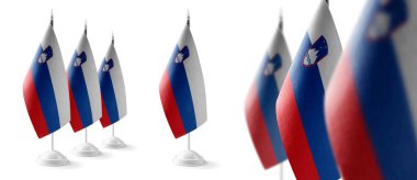 Beyaz arka planda Slovenya ulusal bayrakları