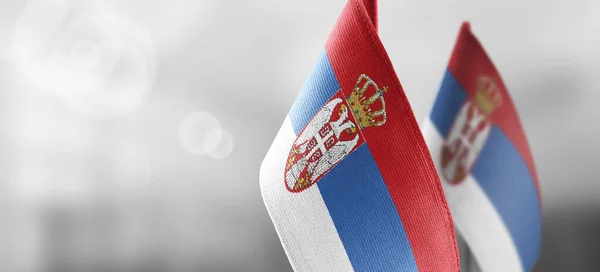 Małe flagi narodowe Serbii na jasnym, rozmytym tle — Zdjęcie stockowe
