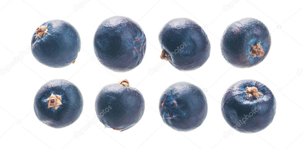 A set of juniper berries. Isolated on a white background