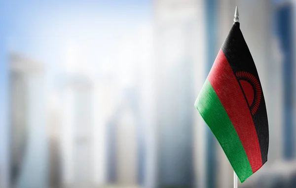 A small flag of Malawi on the background of a blurred background — Stock Photo, Image