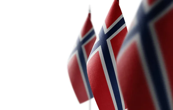 Pequenas bandeiras nacionais da Noruega sobre um fundo branco — Fotografia de Stock