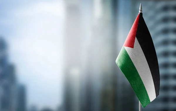 Un petit drapeau de Palestine sur fond de fond flou — Photo