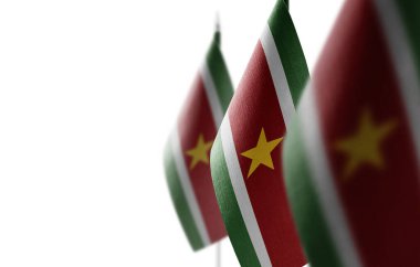 Beyaz arkaplanda Surinam 'ın küçük ulusal bayrakları