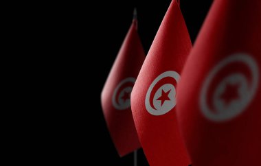 Siyah arka planda Tunus 'un küçük ulusal bayrakları