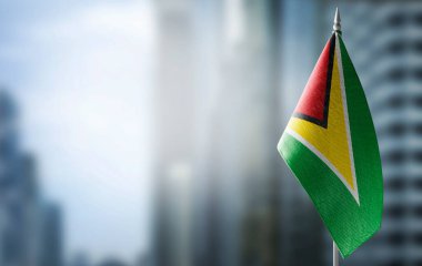 Bulanık arkaplanda Guyana 'nın küçük bir bayrağı