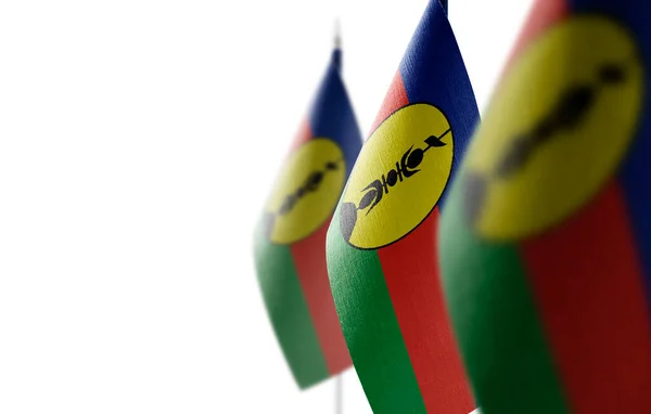 Pequeñas banderas nacionales de Nueva Caledonia sobre un fondo blanco — Foto de Stock