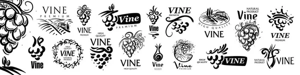Vector set of hand drawn logos for wine — Stock Vector