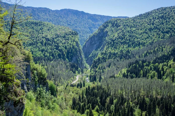 Pohled na hory a les v Abcházii. — Stock fotografie