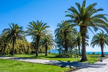 Pitsunda 'da plaj, Abhazya Cumhuriyeti. Açık güneşli gün 13 Mayıs 2021