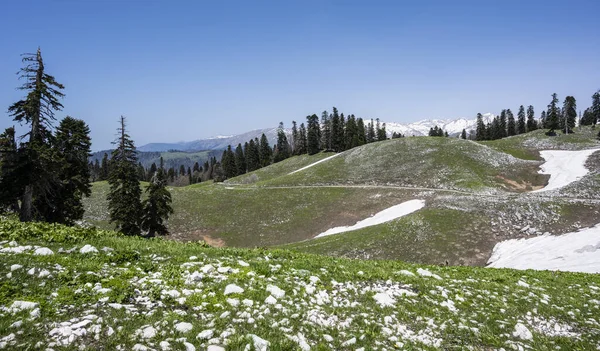 Blick auf den Berg Mamzyshha in der Republik Abchasien. Ein klarer, sonniger Tag am 15. Mai 2021 — Stockfoto
