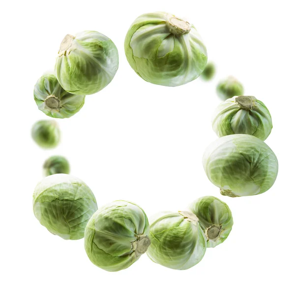 Green cabbage levitates on a white background — Stock Photo, Image