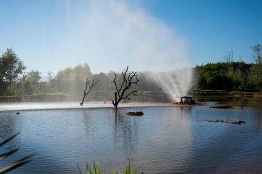 Hidrojen sülfür kaynağı, Abhazya Cumhuriyeti 'nde doğal bir spa. 19 Mayıs 2021 'de güneşli bir gün.