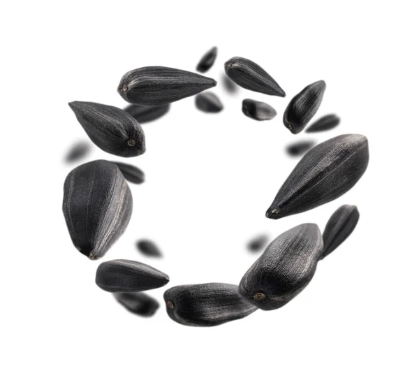 Sunflower seeds levitate on a white background — Stock Photo, Image