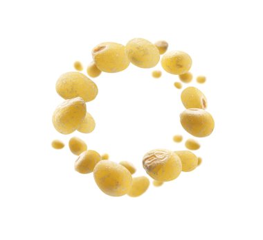 Sarı darı beyaz arka planda uçar