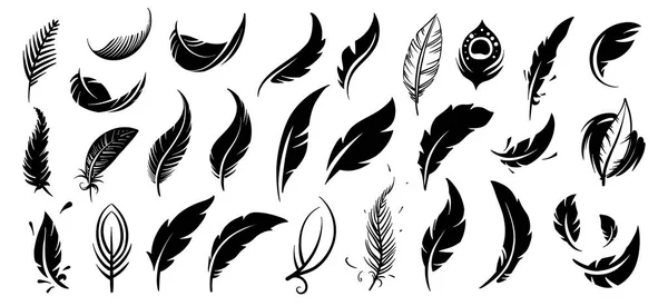 Un conjunto de plumas de aves vectoriales dibujadas — Vector de stock