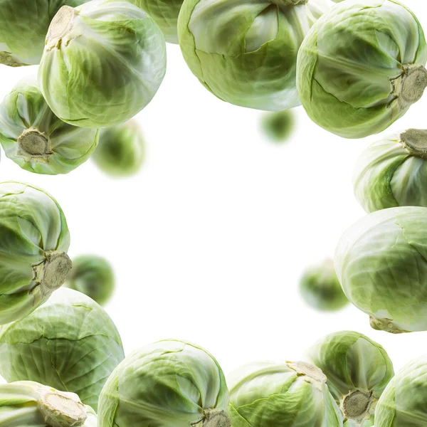 Green cabbage levitates on a white background — Stock Photo, Image