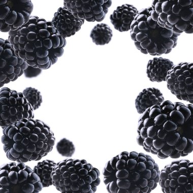 Olgun böğürtlenler beyaz arka planda uçar