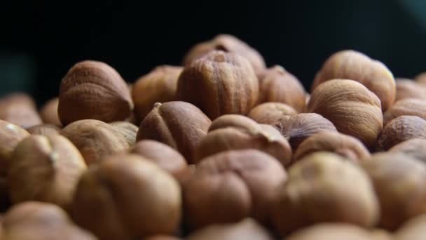 Hazelnut kernels close up slowly rotate — Stock Video