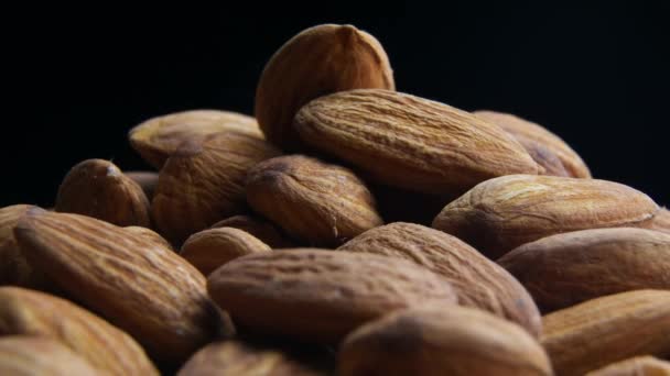 Almond nuts close up rotate in a circle — Stok Video