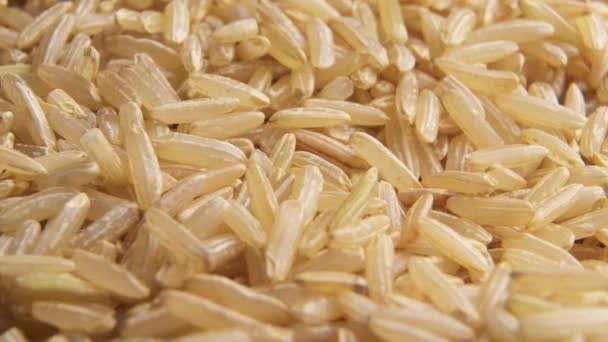 Bílá rýže se otáčí v kruhu — Stock video