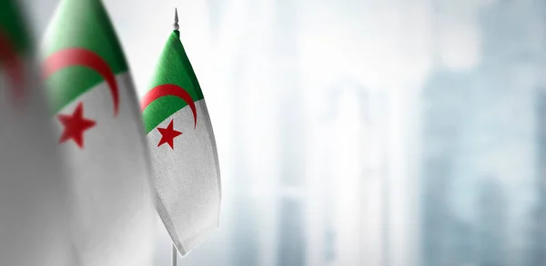 Banderas pequeñas de Argelia sobre un fondo borroso de la ciudad — Foto de Stock