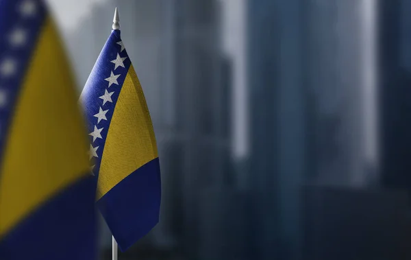 Banderas pequeñas de Bosnia y Herzegovina sobre un fondo borroso de la ciudad — Foto de Stock