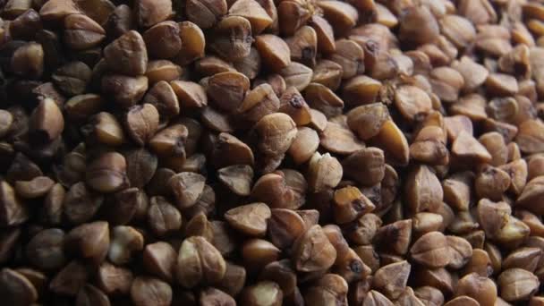 Buckwheat groats close-up perlahan berputar — Stok Video
