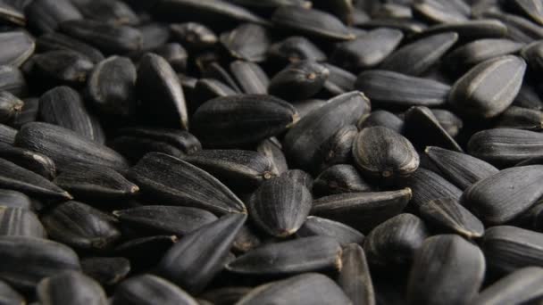 Černá slunečnice semena zavřít pomalu se pohybující — Stock video