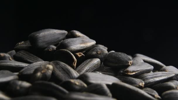 Graines de tournesol noires se rapprochent lentement — Video