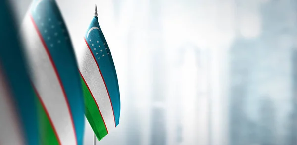 Banderas pequeñas de Uzbekistán sobre un fondo borroso de la ciudad — Foto de Stock