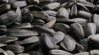 Siyah ayçiçeği tohumları yavaşça yaklaşır.