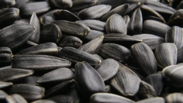Black sunflower seeds close up slowly moving — Stock Video