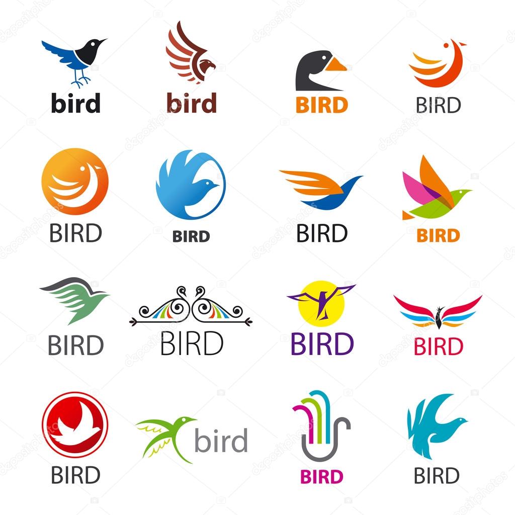 Big set of vector logos birds