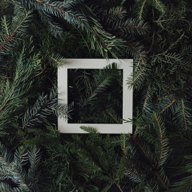 Her zaman yeşil ağaç dallarından yapılmış, beyaz çerçeve notlu yaratıcı bir düzen. Düz yatıyordu. Doğa Yeni Yıl ve Noel konsepti.